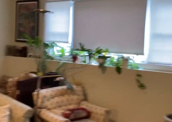 2nd image of 64 Lorchris St