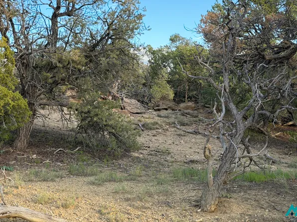 89 Ponderosa Views Loop, Pie Town, NM 87827