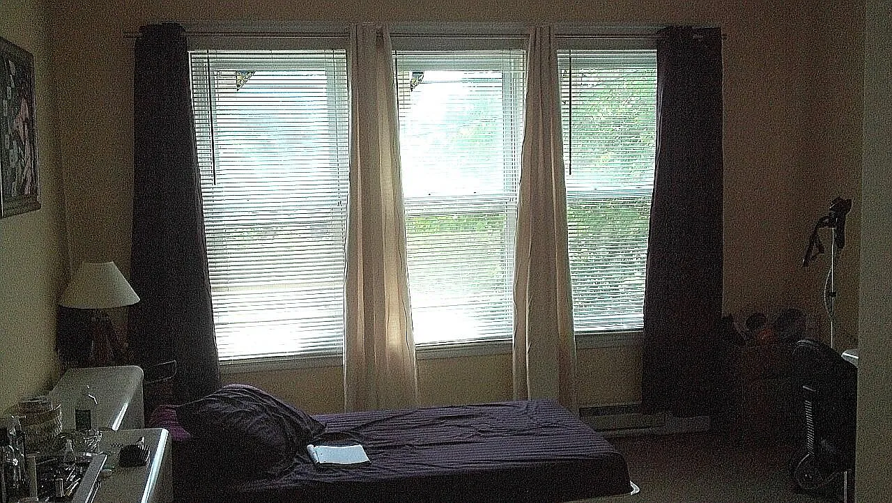 1 bed, 500 sqft, $1,300 — Photo 3