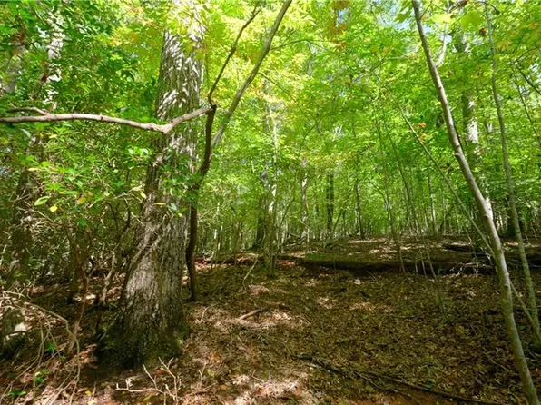 00 Fisher Rd, Tobaccoville, NC 27050