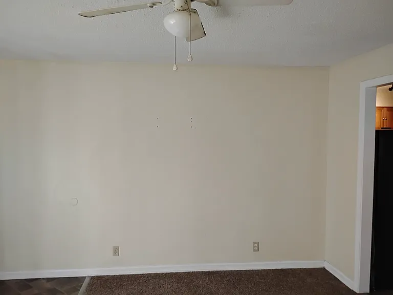 Living Room Wall behind front door