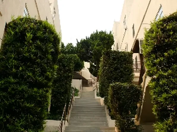 Westwood Apartments, 801-817 Levering Ave #817-5, Los Angeles, CA 90024