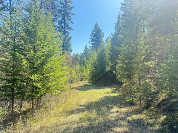 Nhn Whitetail Ridge Rd, Kila, MT 59920