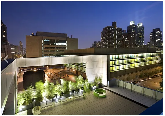 Rented by Owner | media 19