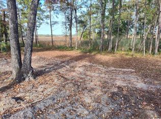 140 Madison Dr LOT 52, Georgetown, SC 29440