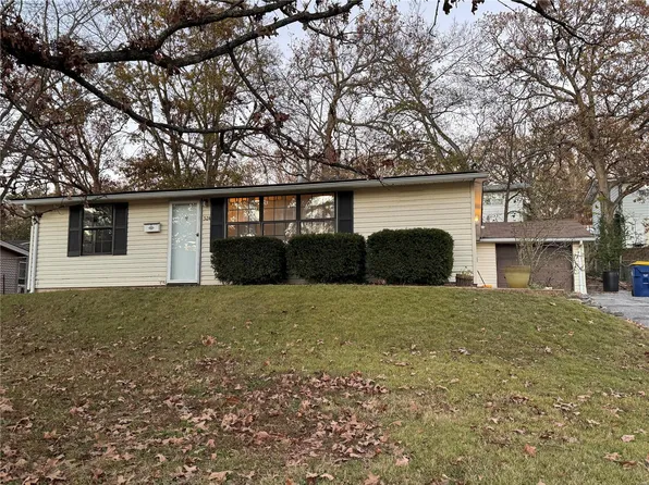 524 Cedar Ln, Festus, MO 63028