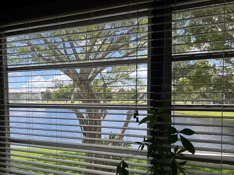 View from the livingroom.