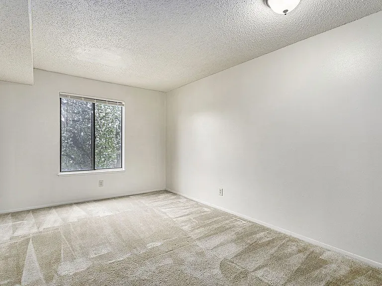 Madeira Apartments — Photo 32