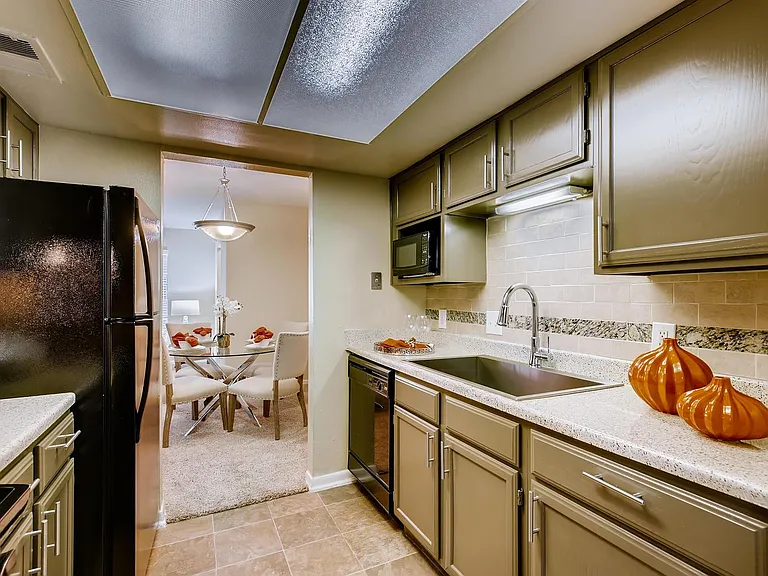 Contemporary stainless sinks and faucets