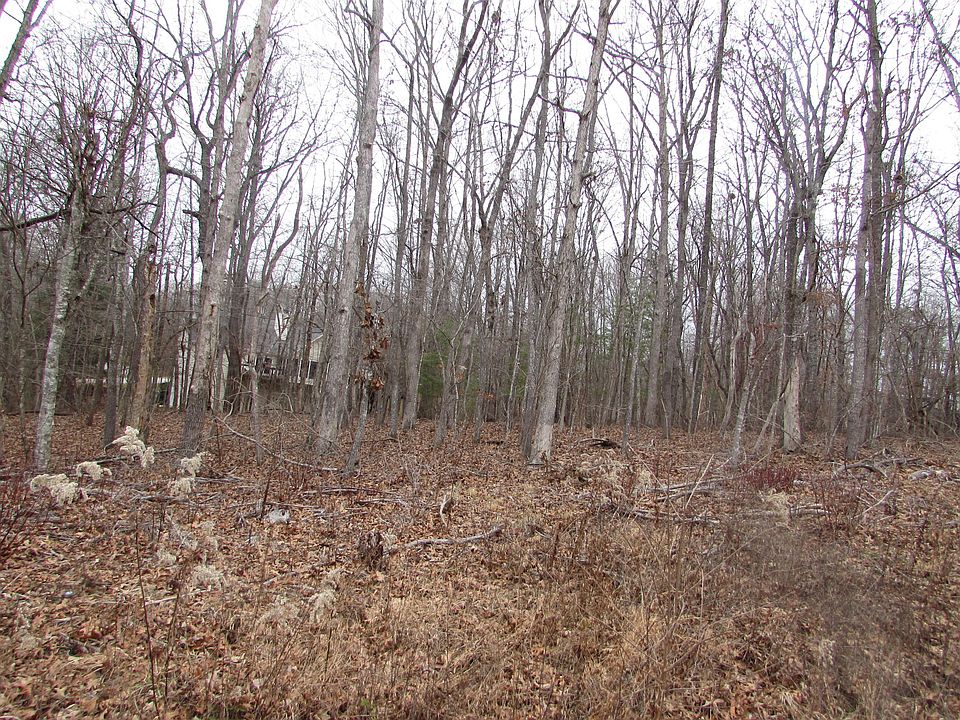 2nd image of 131/133 Burrough Ln