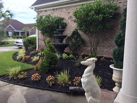 View from Frt. Porch