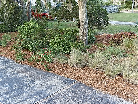 3rd image of 6421 Bougainvilla Ave S