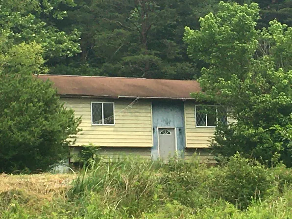 723 Turkey Fork Rd, Sandyville, WV 25275