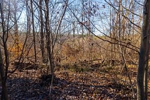 3rd image of 0 White Oak Rd Lot 29