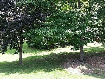 3rd image of 29342 Shenandoah Dr