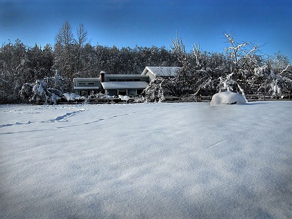 view from road to front