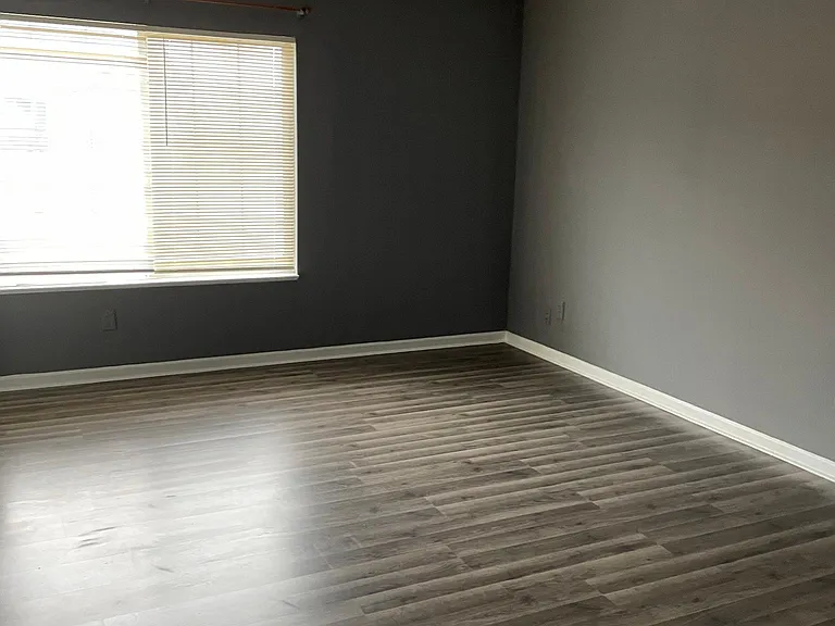 4651 Falcon Run Way — Photo 15