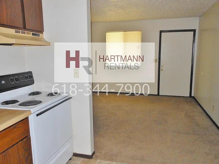 809 Patty Dr — Photo 8