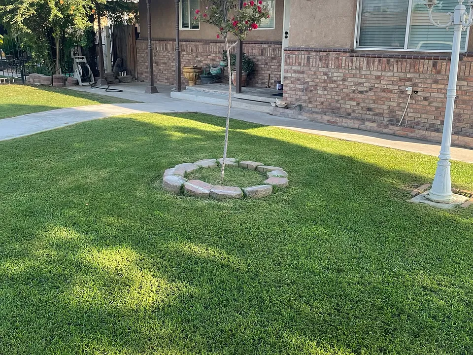 1409 Lindsay Dr