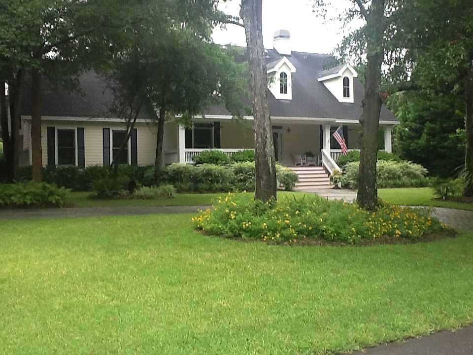 Curb Side View
