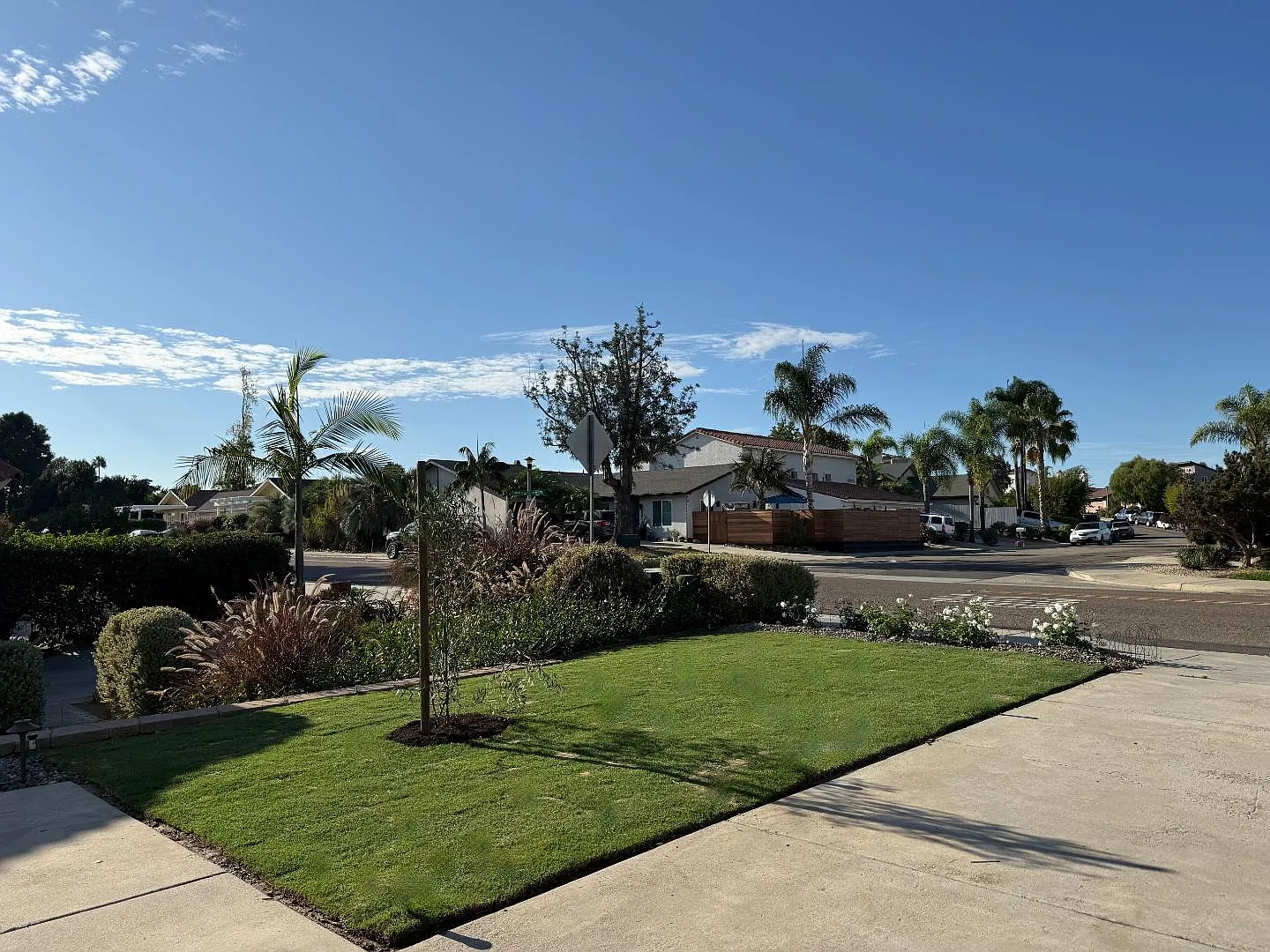 2503 Levante Street — Photo 3