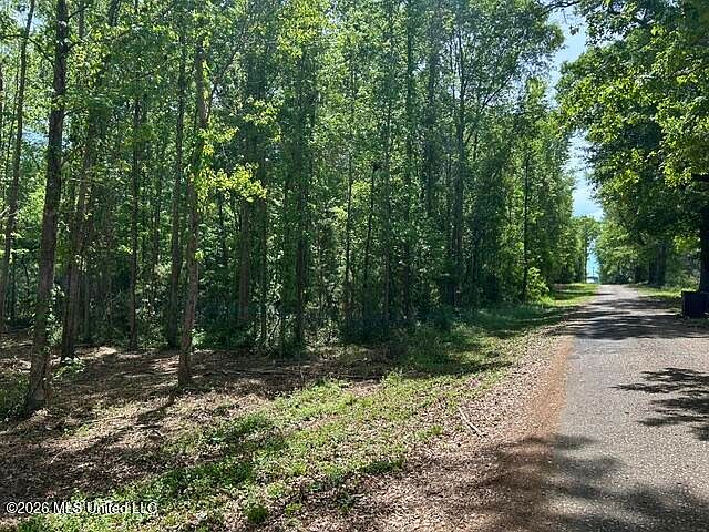 1st image of PARCEL 4 Stovall Ln