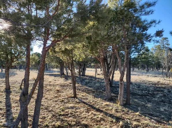 2156 Yukon Cir, Happy Jack, AZ 86024