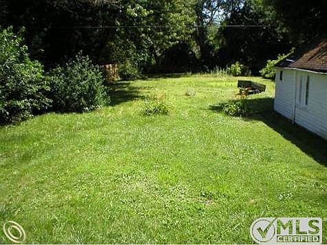 backyard.jpg