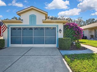 11118 Heathrow Ave, Spring Hill, FL 34609