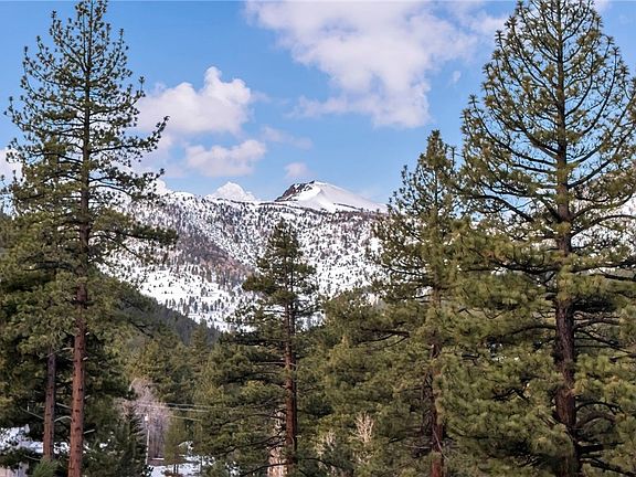 5th image of 1205 Douglas Fir Dr