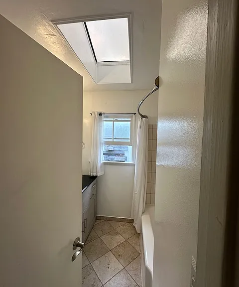 Bathroom skylight