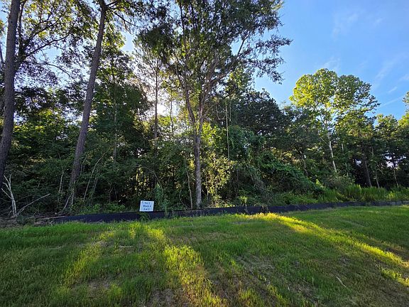 4th image of LOT 2 Block 4 Winters Vista Dr