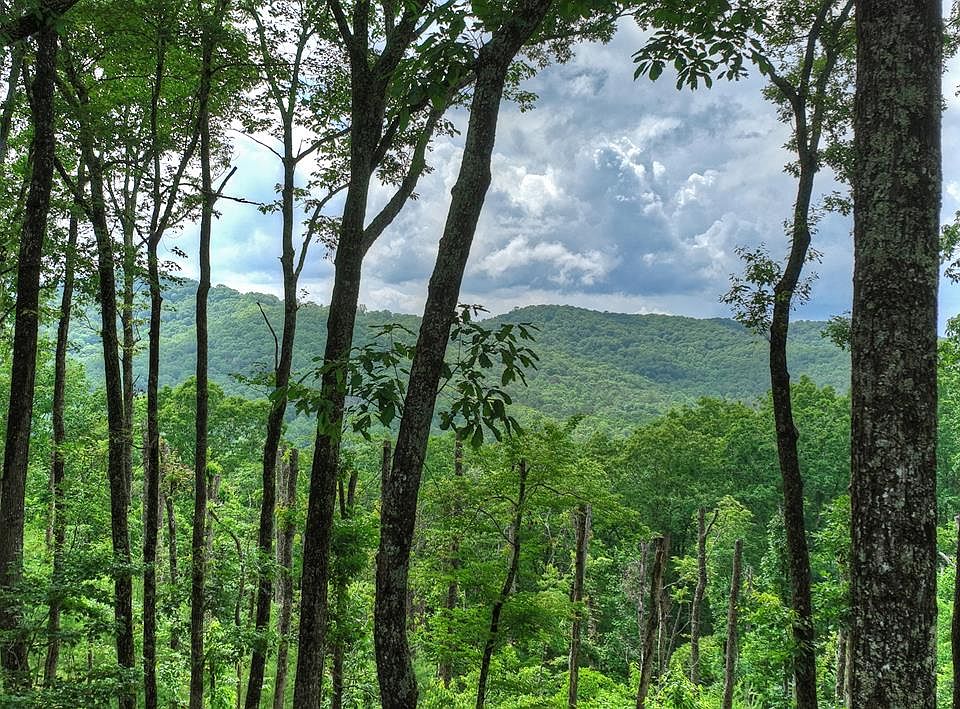 1st image of 22 Mountain Trce