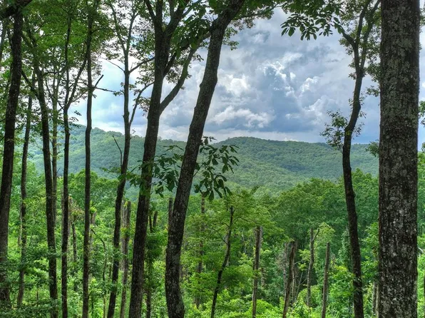 22 Mountain Trce, Cherry Log, GA 30522
