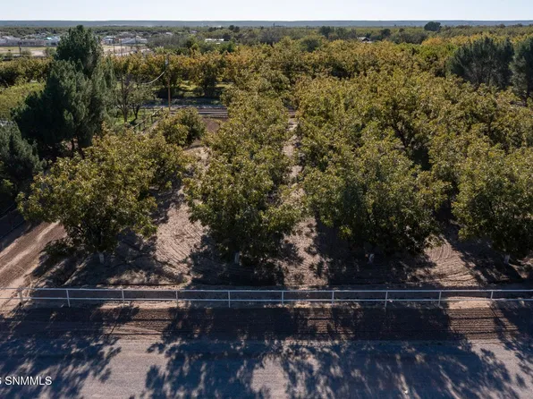 3992 Amistad Dr, Las Cruces, NM 88005