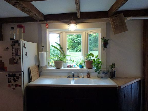 Birds will be watched