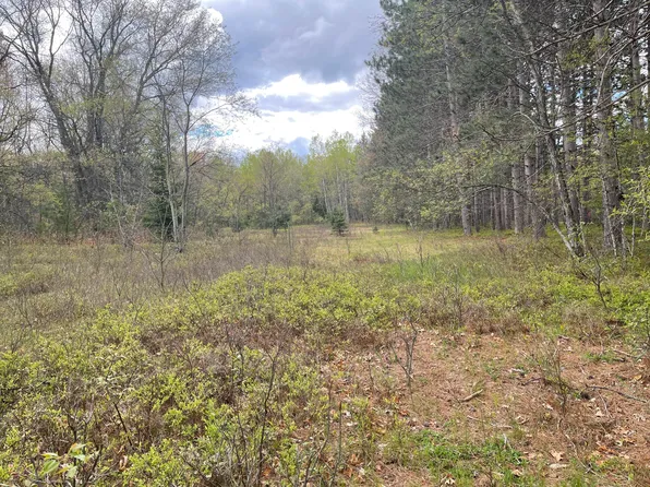 Lansing Rd, Houghton Lake, MI 48629