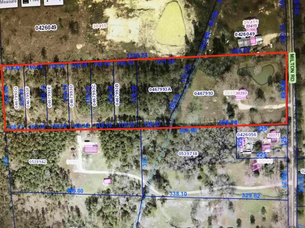 30393 Milton Rd, Walker, LA 70785