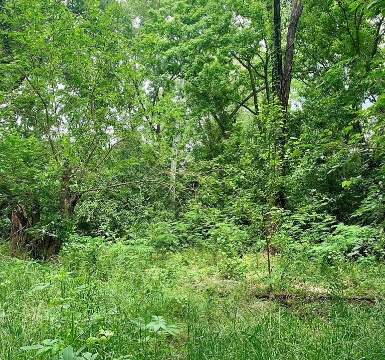 2nd image of 41 30th Ave