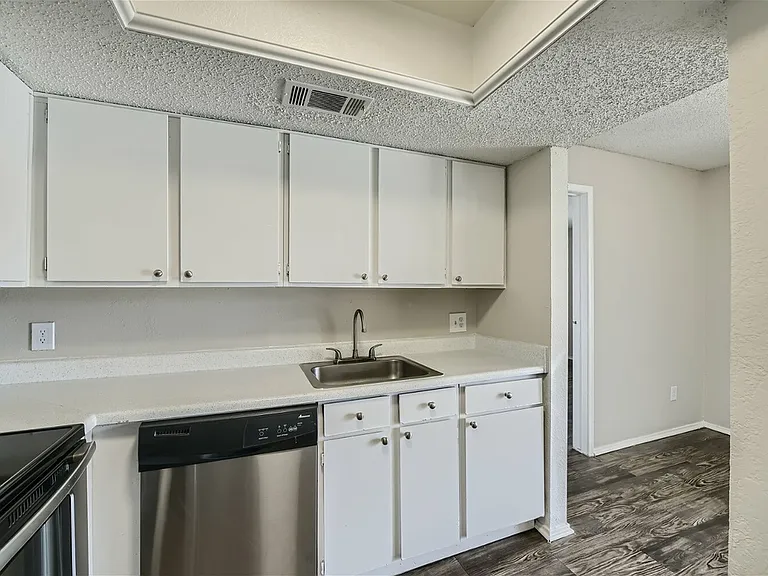 Rise Spring Pointe — Photo 113