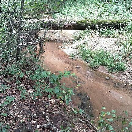 3rd image of 570 Lusk Rd