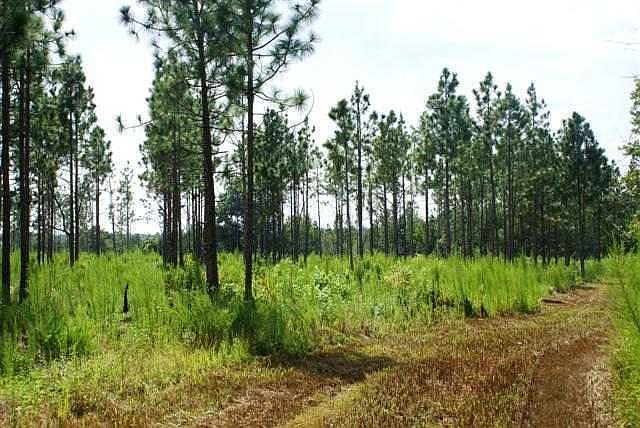 1st image of TBD Pendergrass Road LOT 1 (see addendum)