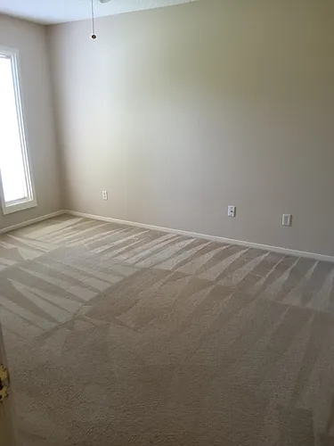 16306 Shady Elms Dr Photo 1