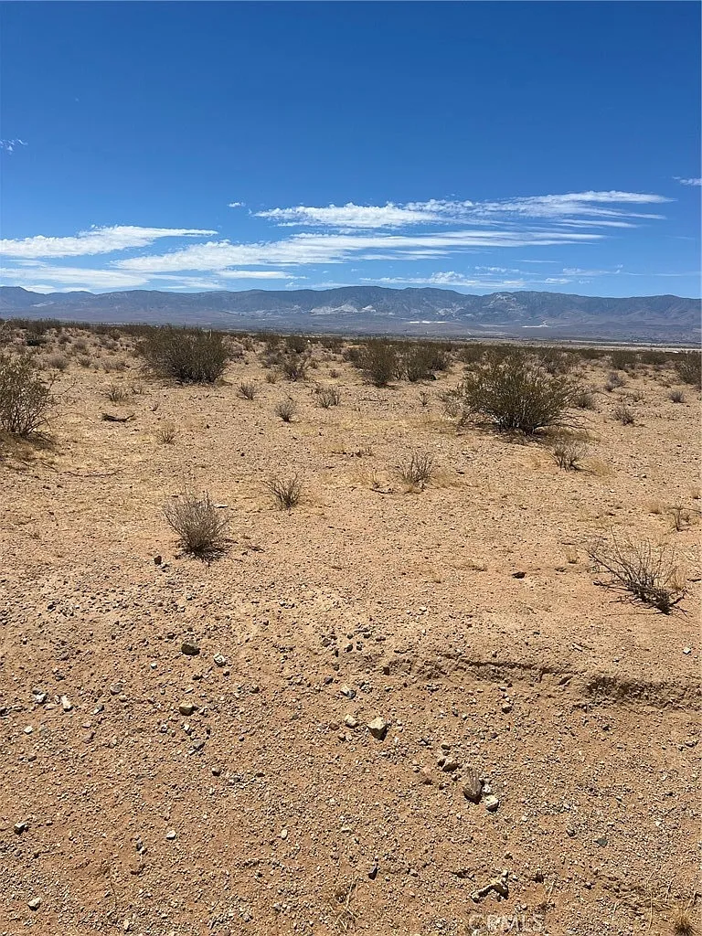 LOT 45 24 photo 1