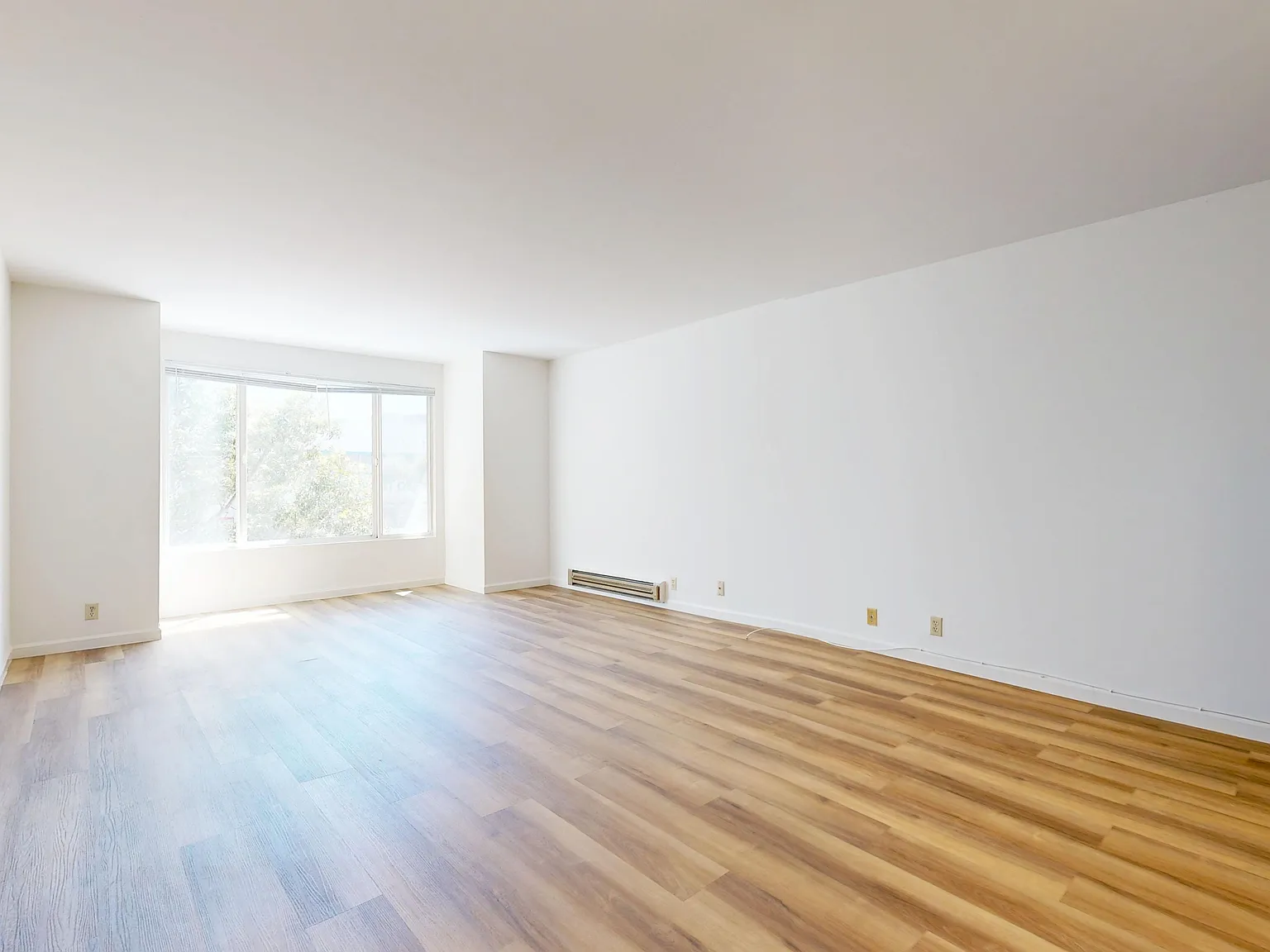 3220 Geary Blvd #209 — Photo 3