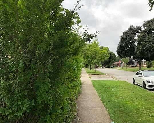 2nd image of 38 Peking Rd