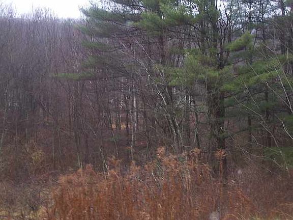 5th image of 00 COUNTY RT 74