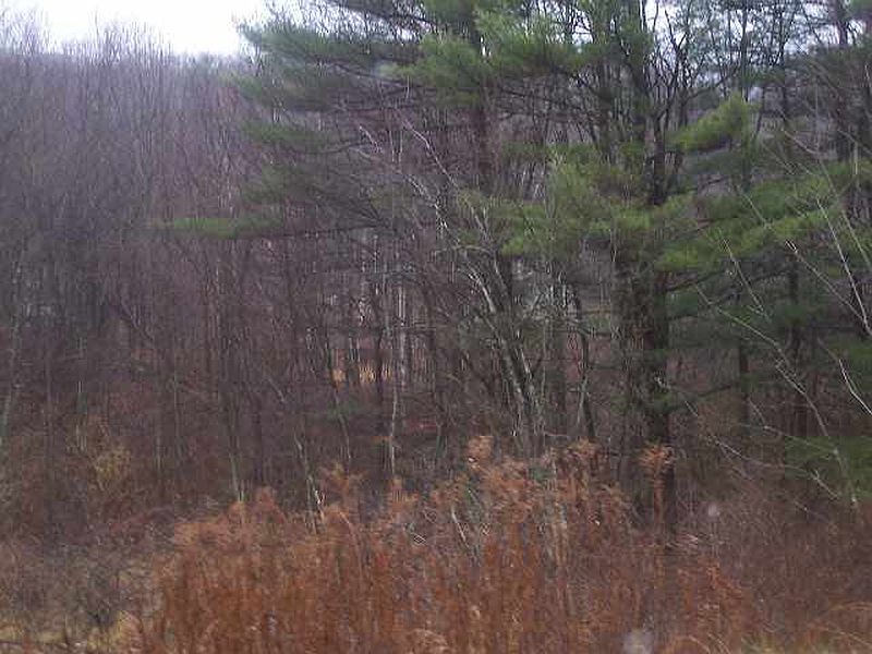 5th image of 00 COUNTY RT 74