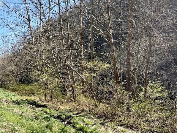 0 Right Fork Bull Crk, Prestonsburg, KY 41653