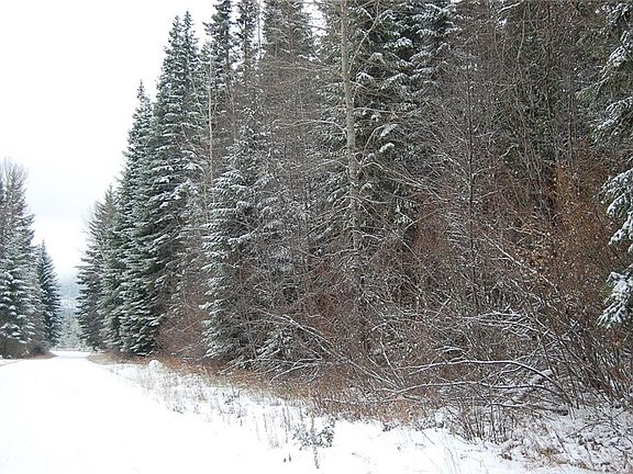 2nd image of 0 Lot 9 Country Drive